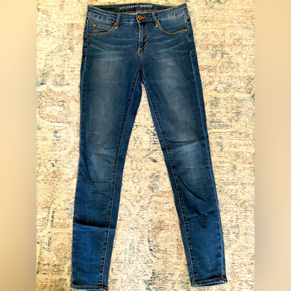 Articles of Society Tahoe Wash Skinny Jean